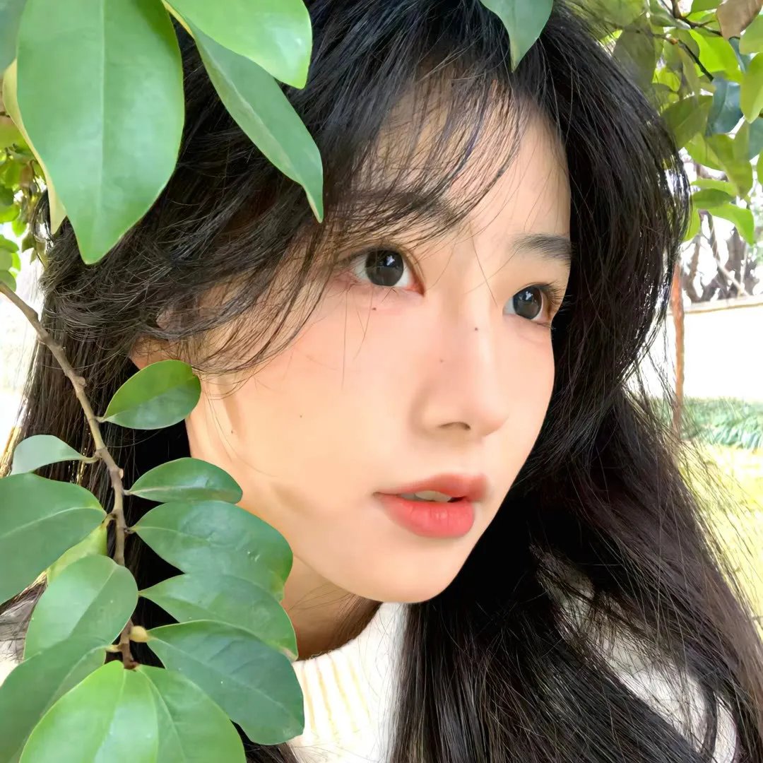 6888女子营